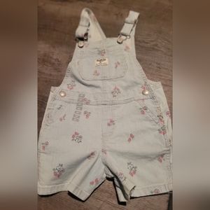 OshKosh B’gosh Overall-Shortall Pin Stripes w Flowers Blue and White NWOT 4t